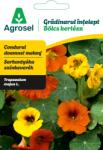 Agrosel Seminte flori Condurul doamnei, Agrosel, Gradinarul intelept - 3 g (5948872038071)