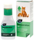 VIYO Recuperation Cat 150 ml