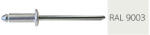 Koelner - Rawlplug Nyitott félgömbfejű húzószegecs 3, 2x8mm festett RAL9003 alumínium-acél