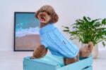 Freedog Jersey Nature- пуловер за куче