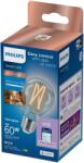 Philips Smart LED WFB 60W A60 E27