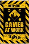 Erik Poster Erik Games: Gameration - Gamer at Work (GPE5577)