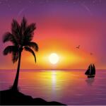 MÉDIA Media, Vászonfestmény Hajó, pálmafa, naplemente, 70 x 70 cm (TABIMG9789)