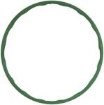 OstroVit HULA HOOP
