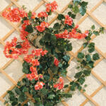 NORTENE TrelliWood növényfuttató fa apácarács (100x200 cm) széles léc, fenyő szín (2019461)