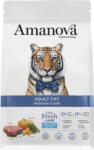  AmaNova Cat GF Adult Delicious Lamb & Pumpkin 6 kg - webshop