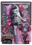 Monster High Papusa Monster High Ziua de nastere dulce si infricosatoare Frankiestein, cu accesorii (JBG75) Papusa
