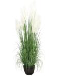 WELLIS - Pampafű műnövény 244cm (WN00017)