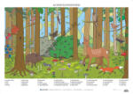 Balázs-Diák Zrt Az erdő életközössége tabló (BD-2186T)