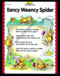 Betzold Eency weency spider (BD35248)