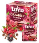 LOYD Málnás melegítő tea tasakban 10x3g (5900396014818)