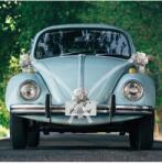 Chaks Decorațiune auto cu funde - Silver Bow