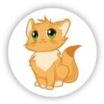  65x65mm kör mágnes - aranyos kiscica (MAGNET-65x65-KRUH-30)