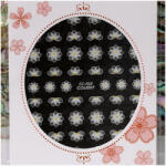 Zodiac Körömmatrica 3D