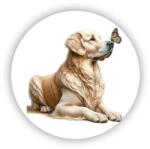 60x60mm-es kör alakú mágnes - golden retriever (MAGNET-60X60-KRUH-61)