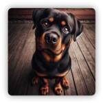  65x65mm négyzetes mágnes - aranyos rottweiler (MAGNET-65X65-CTVEREC-10)