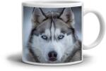  Fehér kerámia bögre 330ml képpel - Szibériai husky 2 (HRNEK-90X82-BILY-118)
