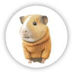  65x65mm-es kör alakú mágnes - tengerimalac pulóverben (MAGNET-65X65-KRUH-16)