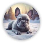  65x65mm-es kör alakú mágnes - bulldog a hóban (MAGNET-65X65-KRUH-3)