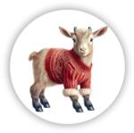  60x60mm Kör Mágnes - gyerek pulóverben (MAGNET-60X60-KRUH-15)