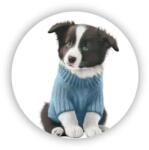  60x60mm Kör Mágnes - border collie pulóverben (MAGNET-60X60-KRUH-20)