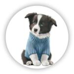  65x65mm-es kör alakú mágnes - border collie pulóverben (MAGNET-65X65-KRUH-20)