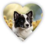  65x65 mm-es szív alakú mágnes - virágokban pompázó border collie (MAGNET-65X65-SRDCE-2)