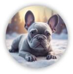  60x60mm Kör Mágnes - Bulldog a hóban (MAGNET-60X60-KRUH-3)