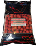 DOVIT PRÉMIUM BOJLI 20MM 1KG - gammarus (DOV7053)