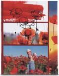 Hama Red Poppy memo album 10x15/200 (99007578) (99007578) - aqua