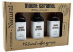 Mount Caramel - Syrup Set 3 × 100 ml - Raspberry · Glogg · Apple Mulled Wine (cfd-2302010051)