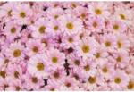 Media Öntapadó és mosható fali tapéta Flori89, 150 x 205 cm (FOTOTAP5606)