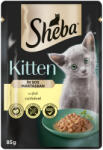 Sheba tasak nedves eledel kölyök macskáknak csirke 28x85g