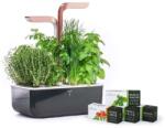 Véritable gradină de casă autonomă Smart 33 × 18, 5 x 45 cm 99KK-EGU0KB_28X (VPOT.SSBCO.EU2.158)