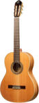 Ortega Guitars R20GRG-L