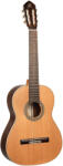 Ortega Guitars R19S - gitarcentrum