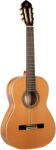 Ortega Guitars R20GRG