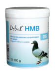 Dolfos Долвит hmb dg 100 г