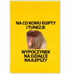 FunnyCase Könyvnaptár 2026 Mire Jók Egyiptomok És Tunézia Citrom Ajándék (Kalendarz Cytryna NA CO KOMU EGIPTY I TUNEZJE)