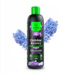 Planteo Folyadék Dísznövény Cserjékhez 1L Organikus Bio Trágya Kerti Erősítő Hatékony (PLA2783)