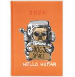 FunnyCase Könyvnaptár 2026 Hello Human Narancssárga Tervező Ajándék Minták (Kalendarz Pomarańczowy HELLO HUMAN)