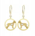 Mejk Jewellery Ír vízi spániel fülbevaló Arany 925 Ajándék Ékszer Ingyenes gravírozás (KR R2263-zl,)