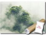 WallMagic Fotótapéta Flizelina Erdő Fák Eső Köd Tájkép 400x280 ragasztó ingyen (14519VX8)