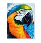 PD Media Festmény Számokkal Kerettel Festmény Papagáj 40x50 Vászonkép (Malowanie po numerach papuga)