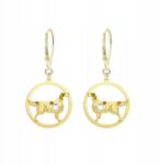 Mejk Jewellery Aranyozott fülbevaló ír szetterrel, piros-fehér, 925-ös ezüst, gravírozható ékszer (Seter Irlandzki Czerwono - Biały)