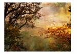 DecoNest Fotótapéta Festett ősz 400X309 (A0-4XLFTNT0997)