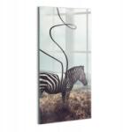 Wallfluent Üveg Fotókép Modern Zebra Csíkos Illusztráció Nappaliba (010010010250100074611)