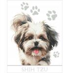 Coricamo Keresztszemes hímzés Előnyomott vászon Kutya Shih tzu (K 10916)