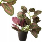 ViviArt Művirág növény cserépben kalatea medál élő dekoráció 40cm (11014 sztuczny kwiat)