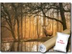 WallMagic Fotótapéta Flizelina Erdő Fák Szarvas Ősz Természet 250x175 ragasztó ingyen (14520VX5)